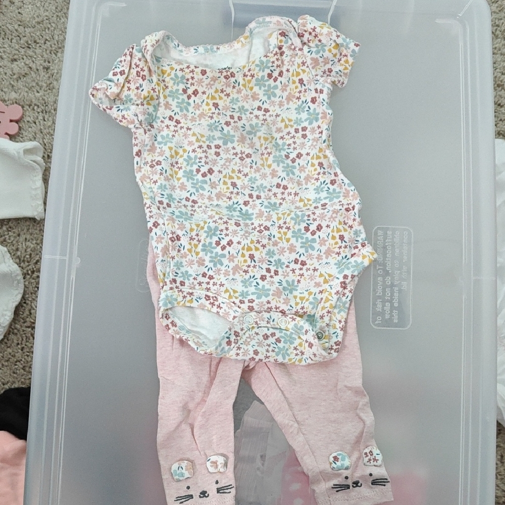 Floral Baby Onesie and Pink Pants Set